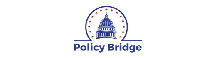 P-Policy_Bridge